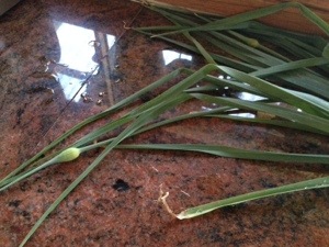 Flower heads on leeks