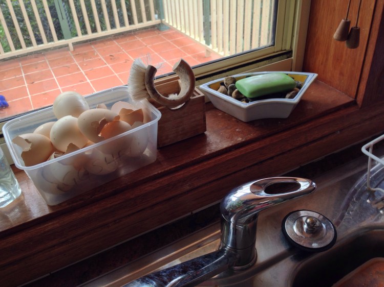 Bits and bobs on the window sill