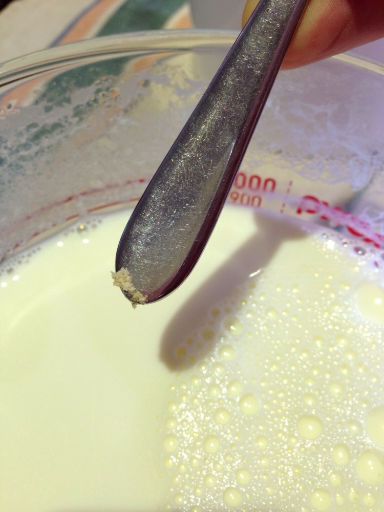 Adding powdered yoghurt culture