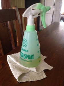 Spray bottle with vinegar