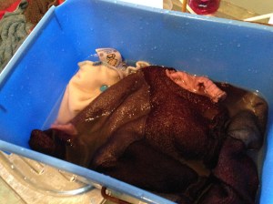 Add the lanolin mix to a bucket of cool water, then add your damp covers and soak them.