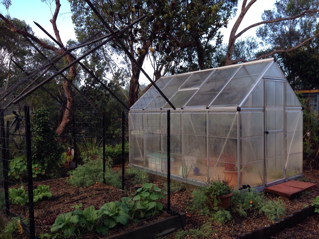 Fogged up Greenhouse