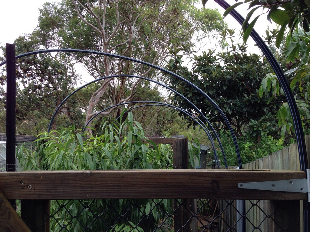 This is an up-high view of the orchard "roof". Yeah, we haven't done it yet.