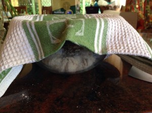 Dough covered with a tea towel