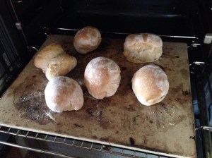 Baked rolls in the oven