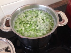 Bring back to the boil