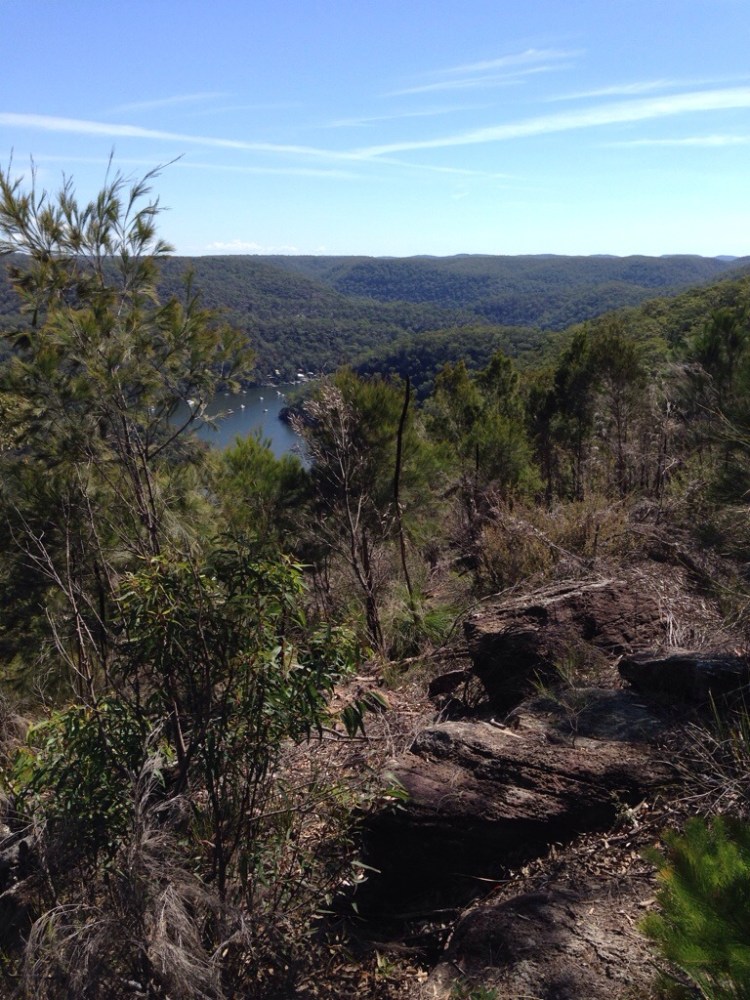 Water views from the lookout