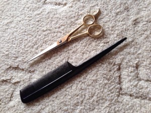 Hair cutting scissors and a comb