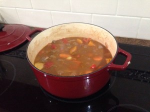 Hot beef stew