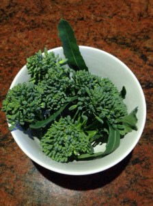 Fresh broccoli florets