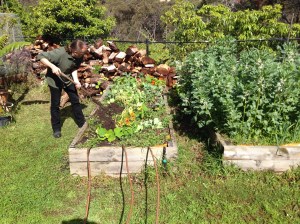 Stephen working the soil with a garden fork