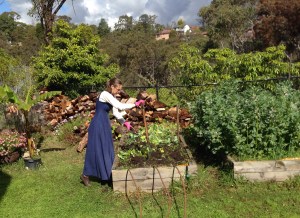 Me, using the spade to chop up weeds