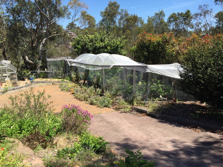 Netting on the orchard