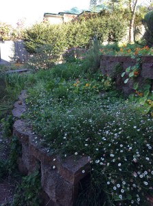 Crescent shaped terrace garden bed