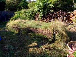 Looks naked without the boards!