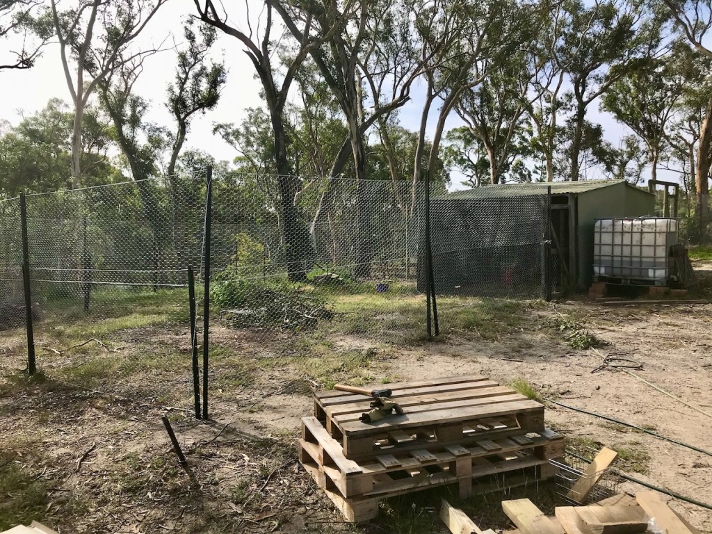 Completed goat pen with double-height wire netting around the yard held up with black star pickets.