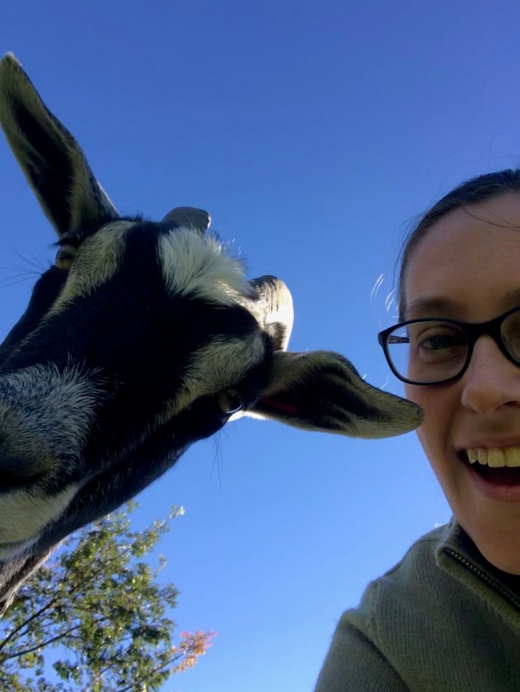 Goat (Keira) and person (me) selfie, with a bright blue sky behind us