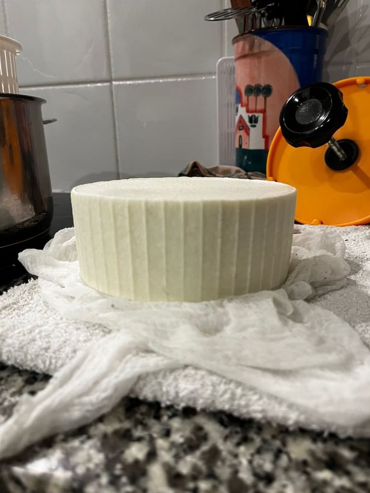 Newly pressed cheese