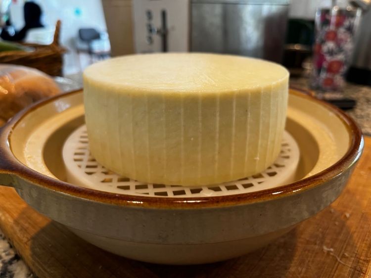 Cheese after it has been brined