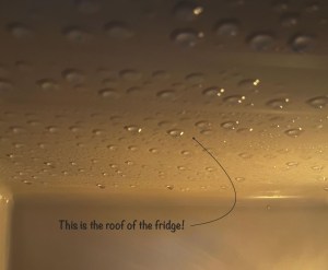 Water beading on the roof of the fridge means the humidity is at about 100%