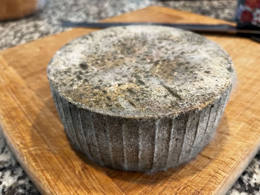 Furry, mouldy cheese